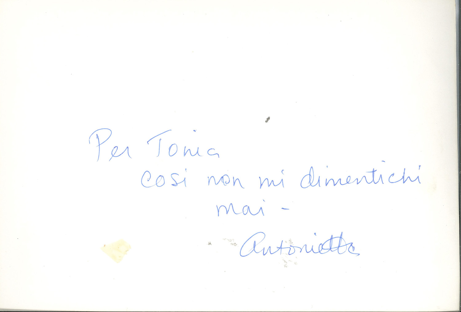 Archivio Futuro_0074